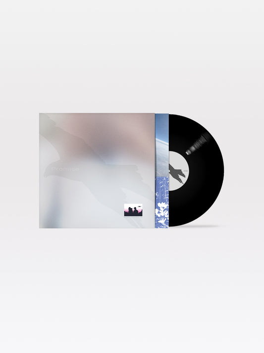 ESP / Promise (Deluxe) 12" / Black (1st pressing) (Pre-order)